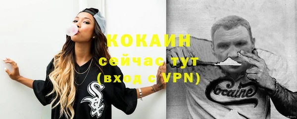 бошки Белокуриха