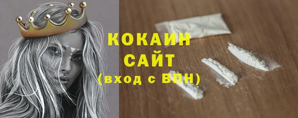 бошки Белокуриха