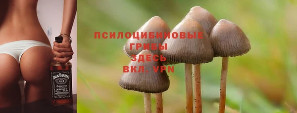 бошки Белокуриха