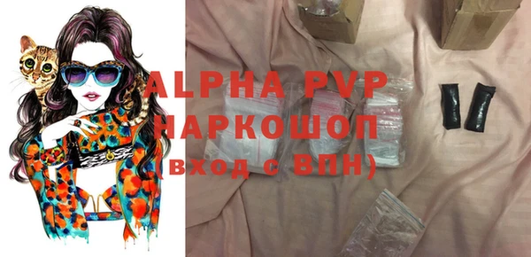 бошки Белокуриха