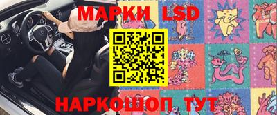 стаф Гатчина
