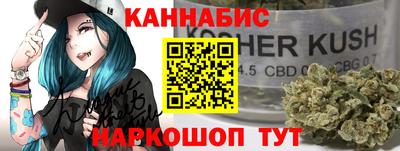 стаф Гатчина