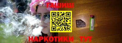 стаф Гатчина