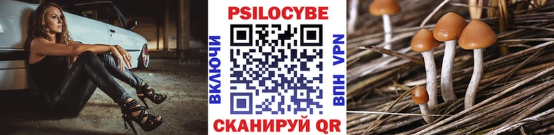 закладки  MEGA как войти  Галлюциногенные грибы Magic Shrooms  Печора 