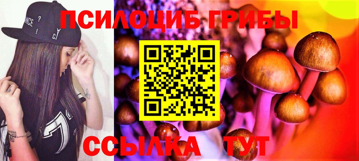 Псилоцибиновые грибы ЛСД Печора