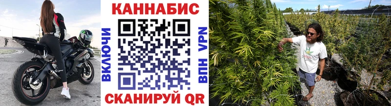 закладка  Печора  нарко площадка официальный сайт  Шишки марихуана тримм  кракен tor 